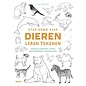 Stap voor stap dieren leren tekenen