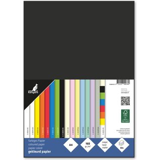 Papier A4 160 grams pak à 50 vel zwart