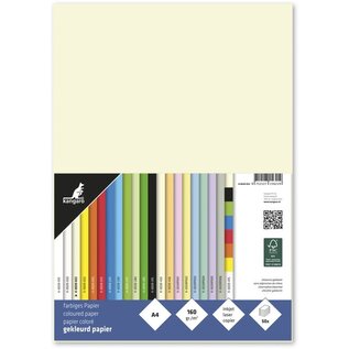Papier A4 160grs ivoorwit pak 50 vel