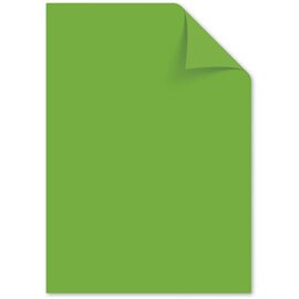 Papier A4 160grs helgroen pak 50 vel