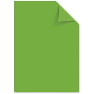 Papier A4 160grs helgroen pak 50 vel