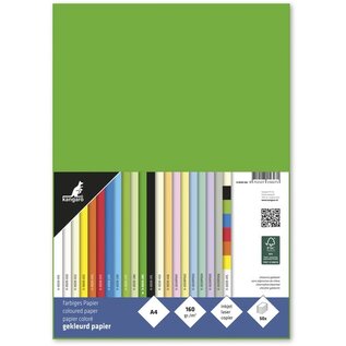 Papier A4 160grs helgroen pak 50 vel