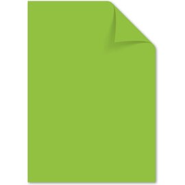 Papier A4 160 grams pak à 50 vel groen