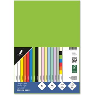 Papier A4 160 grams pak à 50 vel groen