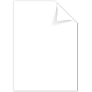 Papier A4 160 grams pak à 50 vel wit