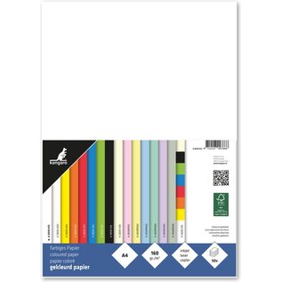 Papier A4 160 grams pak à 50 vel wit
