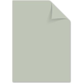 Papier A4 160 grams pastel grijs pak 50 vel