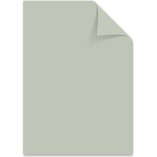 Papier A4 160 grams pastel grijs pak 50 vel