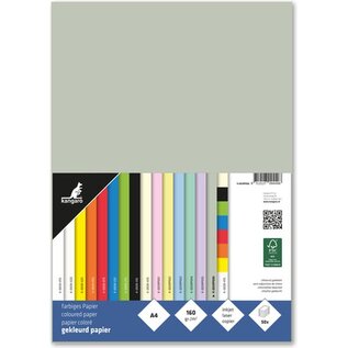 Papier A4 160 grams pastel grijs pak 50 vel