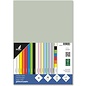 Papier A4 160 grams pastel grijs pak 50 vel