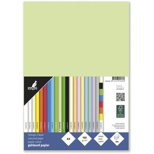 Papier A4 160grs lichtgroen pak 50 vel