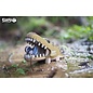 EUGY 3D - Alligator