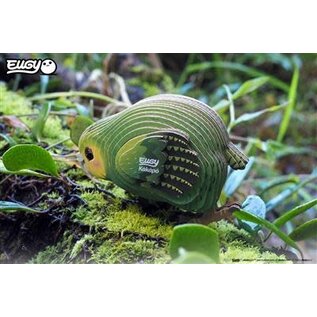 EUGY 3D - Kakapo