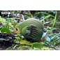 EUGY 3D - Kakapo
