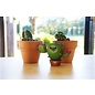EUGY 3D - Cactus