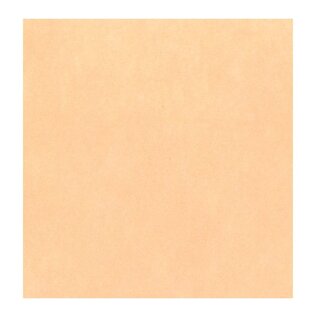 Vilt blad 1 mm roze  30x30cm - soepel - Per vel