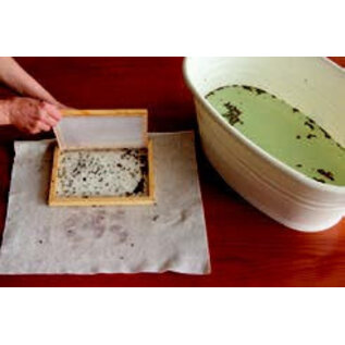 Pulp sheets white 25pcs / 1kg / 21x20cm