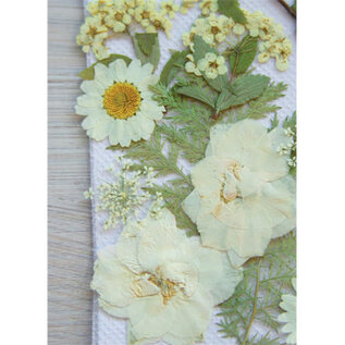 Pulp sheets white 25pcs / 1kg / 21x20cm