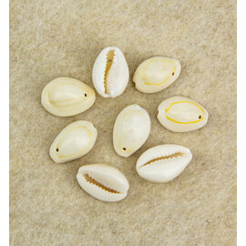 Kaurischelpen met 1 gat, natuurlijk 18-20mm 8st.