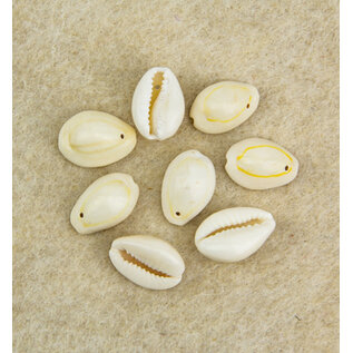 Kaurischelpen met 1 gat, natuurlijk 15-18mm 15st.