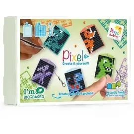 Pixelhobby Medaillon Themabox - Dino's