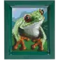 Pixelhobby Classic Kikker 10x12 cm