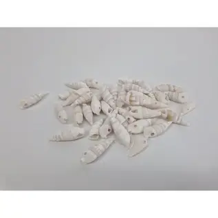 Schelpen Certhium Vertagus 650gr – Natuurlijk