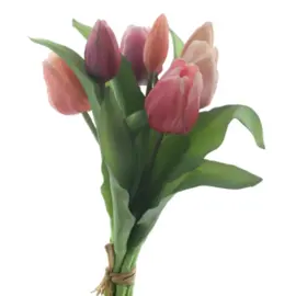 TULP BUNDEL 30CM ROOD/ROZE