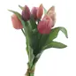 TULP BUNDEL 30CM ROOD/ROZE