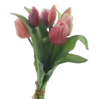 TULP BUNDEL 30CM ROOD/ROZE