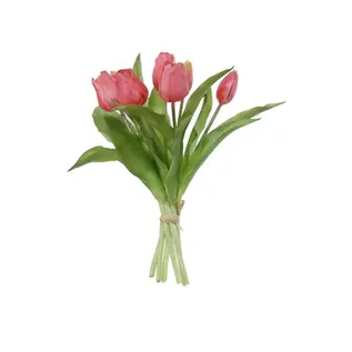 TULP BUNDEL 30CM DONKERROZE