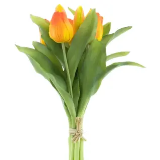 TULP BUNDEL 30CM ORANJE
