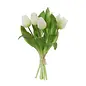 TULP BUNDEL 30CM WIT