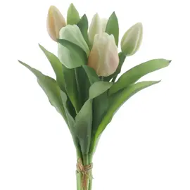 TULP BUNDEL 30CM MIX GEEL/GROEN