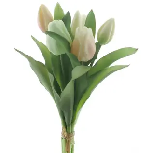 TULP BUNDEL 30CM MIX GEEL/GROEN