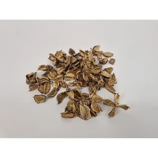COTTON PODS GOUD +/-250GR