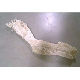 AGAVE TRANSPARENT GEBLEEKT 200GR