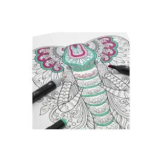 Professioneel marker kleurboek