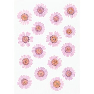 Geperste droogbloemen