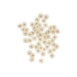 60 katoenenbloemen glitter 1,1 cm