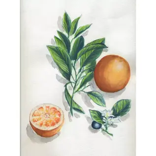 Aquarelblok voorgedrukt 24 x 30 cm 15 vellen