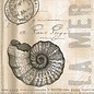 Servetten - La mer 20 pstuks