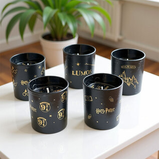 Harry Potter - Scented Candles - Hogwarts 135g.