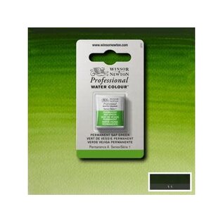 Winsor & Newton Professional Watercolour 1/2 Napje Permanent Sap Green Serie 1