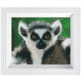 Pixel - Geschenkverpakking met 40 pixelmatjes - Ringstaartmaki