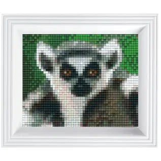 Pixelpakket - Ringstaartmaki