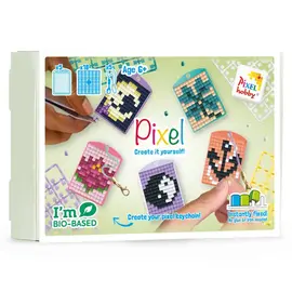 Pixels - Medaillon / sleutelhangers Thema Box - Harmonie -