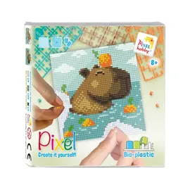 Pixel Set vierkant - Capibara -