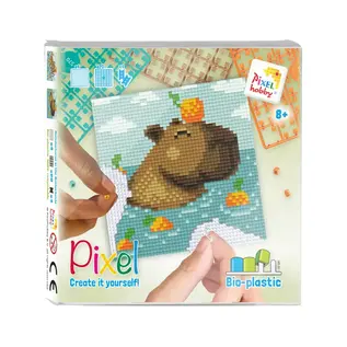 Pixelpakket Set vierkant - Capibara -