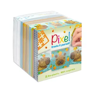 Pixel 3-pack - Capibara